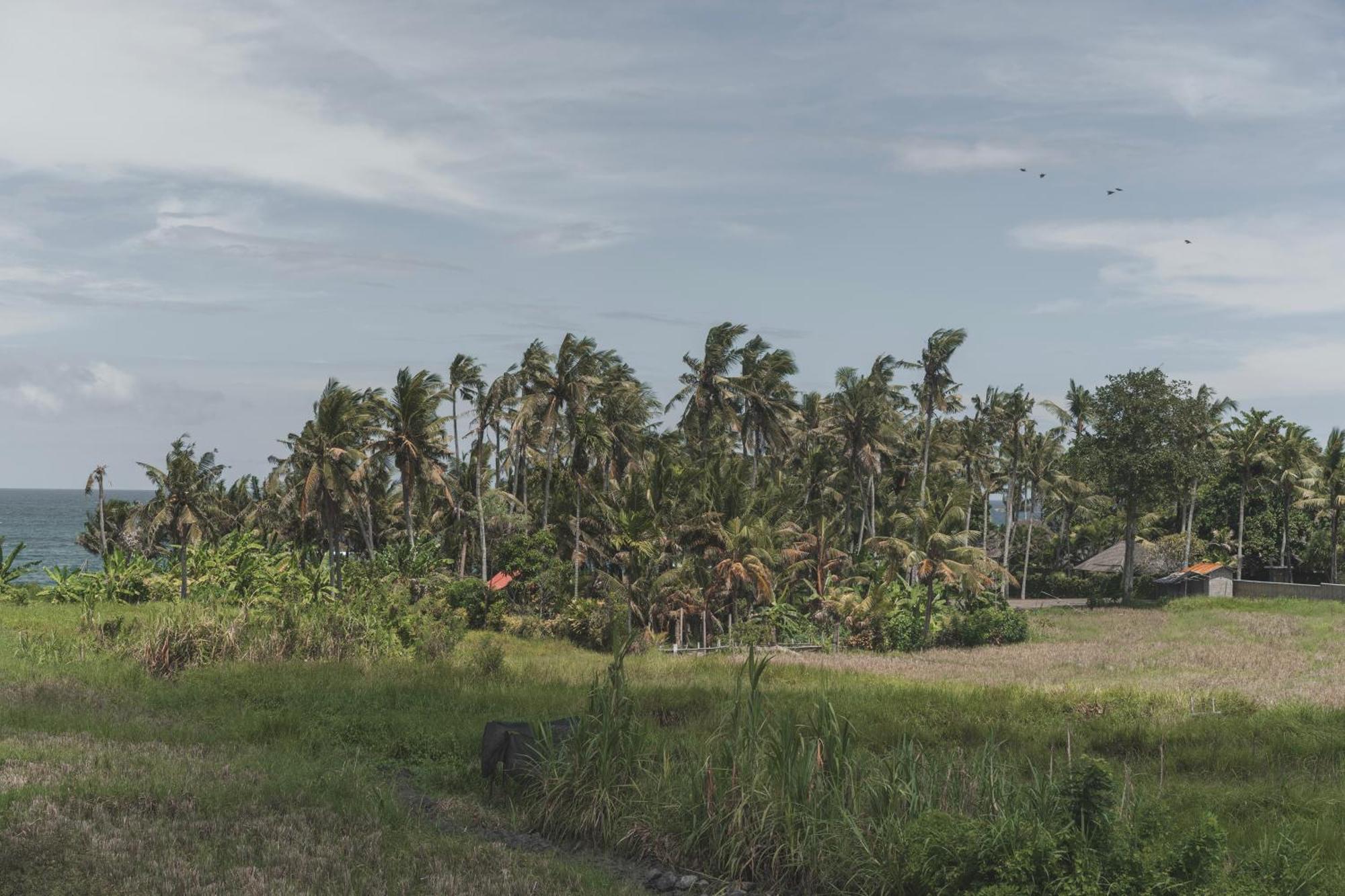 Dune Seseh Munggu ภายนอก รูปภาพ